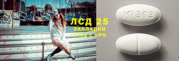 индика Краснослободск
