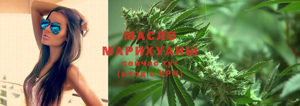 индика Краснослободск