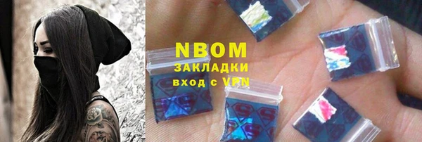 индика Краснослободск
