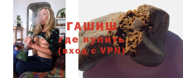 индика Краснослободск