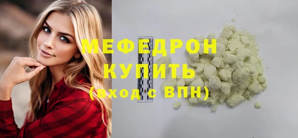 индика Краснослободск
