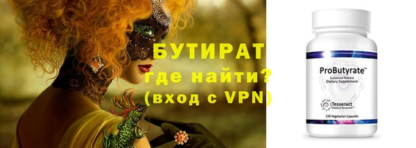 индика Краснослободск
