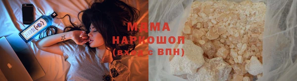 индика Краснослободск