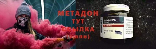 индика Краснослободск