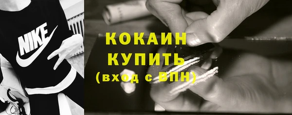 индика Краснослободск