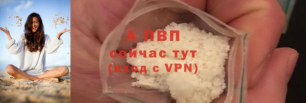 индика Краснослободск