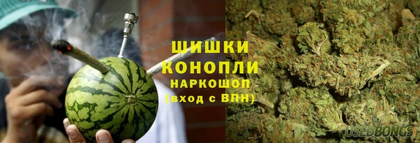 индика Краснослободск