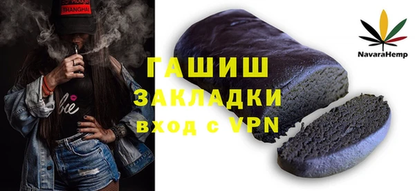 индика Краснослободск